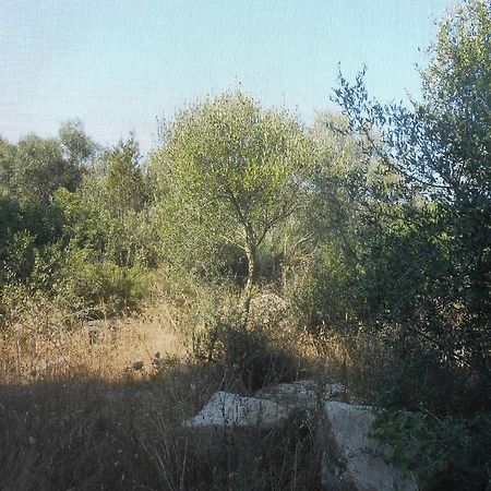 Agriturismo Tupei Ξενοδοχείο Calasetta Δωμάτιο φωτογραφία