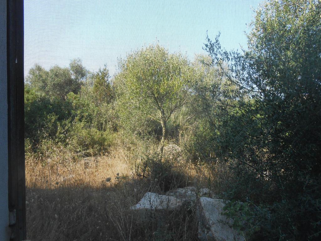 Agriturismo Tupei Ξενοδοχείο Calasetta Δωμάτιο φωτογραφία